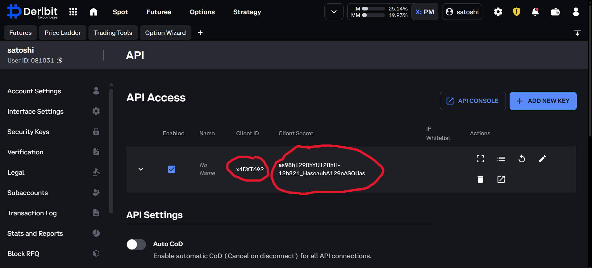 How to copy API keys